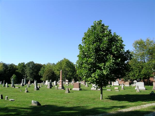 SECTION F PANORAMA